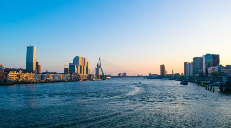 Boat Director Carbon Firbe Powerboats and Motor Yachts